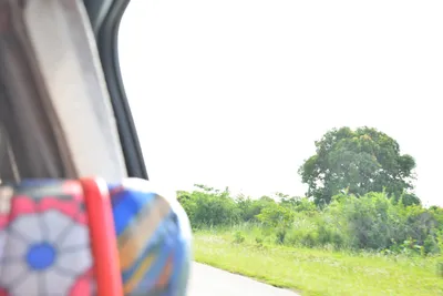 DSC_4640 (Large).JPG